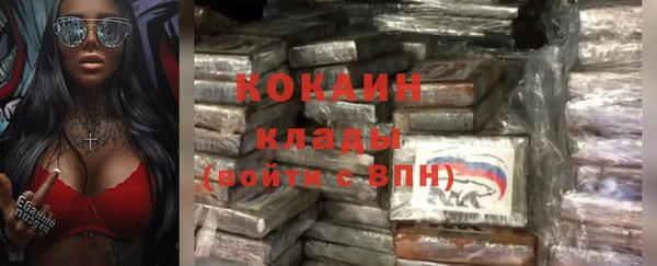 индика Лагань