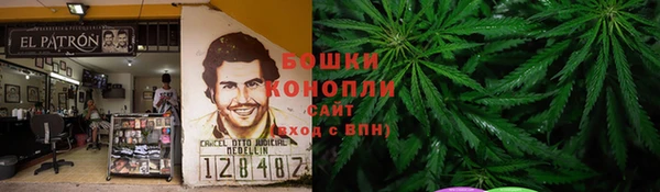 индика Лагань