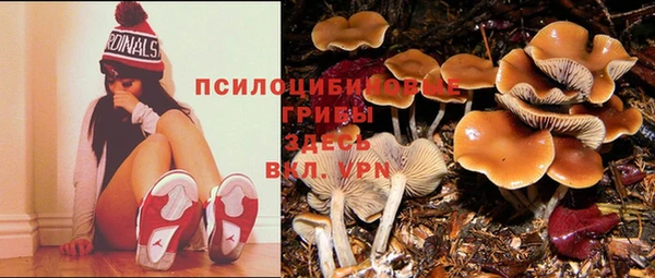 кристаллы Ладушкин