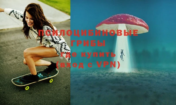 индика Лагань