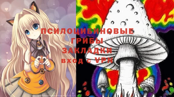 мескалин Лабытнанги