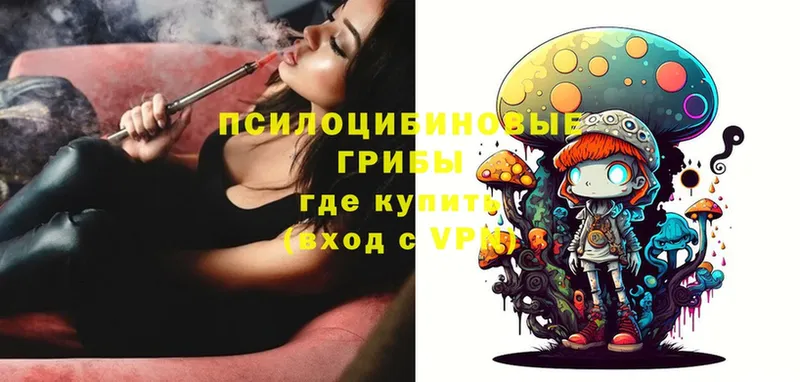 Галлюциногенные грибы Magic Shrooms  где купить   Пойковский 
