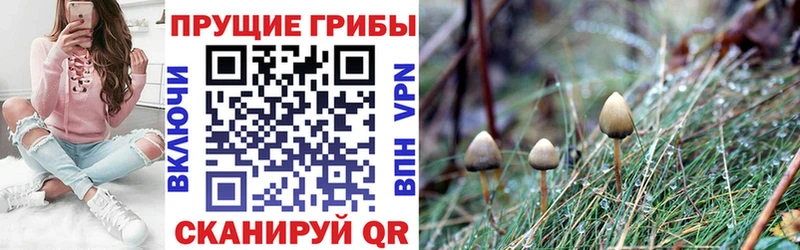 Псилоцибиновые грибы ЛСД  Пойковский 