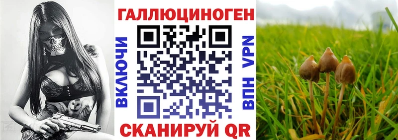 Галлюциногенные грибы мицелий Пойковский